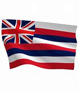 Image result for The Hawaiian Flag