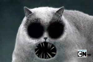 Image result for Funny Cat Scary