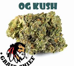 Image result for OG Kush Indica