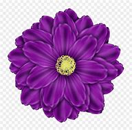 Image result for Purple Flower Clip Art No Background