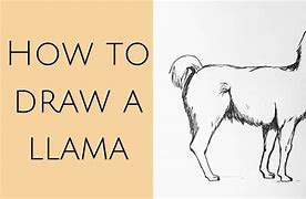 Image result for Llama Shape