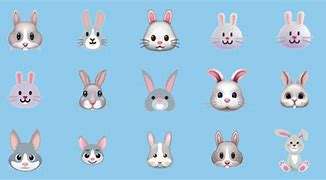 Image result for Rabbit Meme Face