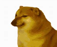 Image result for Yaco Doge GIF