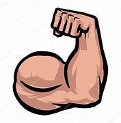 Image result for Drawings of Biceps