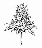 Image result for Weed Bud SVG