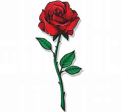 Image result for V for Victory Rose Image