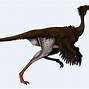 Image result for Dromiceiomimus