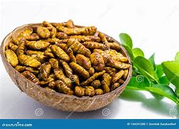 Image result for Pupa of Swallotail