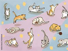 Image result for Springy Cat Pose