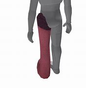 Image result for No Legs Roblox