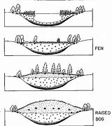 Image result for BOG-POD Diagram