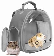 Image result for Hard Shell Pig Backpack