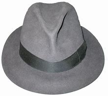 Image result for Modern Fedora Hat