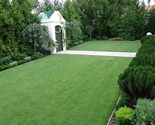 Image result for Zoysia Grass Lawn