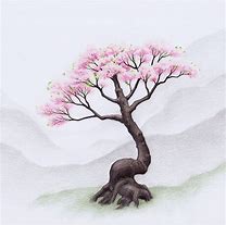 Image result for Cherry Blossom Tree Pencil Sketch