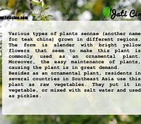 Image result for senna leaf benefits