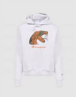 Image result for FAMU Hoodie