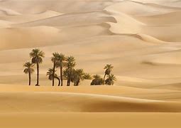 Image result for Desert Dune Wallpaper 4K