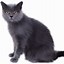 Image result for Kitty Cat ClipArt