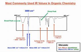 Image result for Infraspecific Name