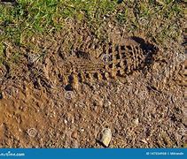 Image result for Footprint in Mud