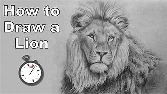 Image result for Simple Lion Drawing Pencil