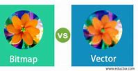 Image result for Bitmap vs Vector Images