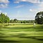 Image result for Goliath Golf Course Florida