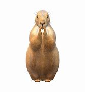 Image result for Prairie Dog PFP