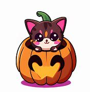 Image result for Hallowen Cat Pumpkin