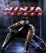 Image result for Ninja Gaiden Game