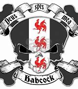 Image result for Babcock Family Crest