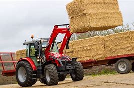 Image result for Massey Ferguson Plant