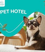 Image result for Pet Hotel