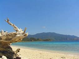 Image result for Patahan Flores Di Nusa Tenggara