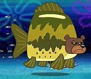 Image result for Where to Fish Sea Bear