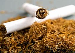 Image result for Tobacco Images