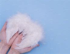 Image result for Hands with Angel Wings