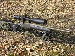 Image result for Infantry Bolt Action Rifle