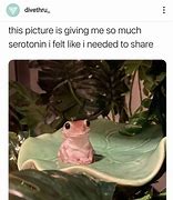 Image result for Frog Spawn Meme