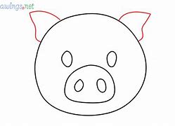 Image result for Pig Face Bush