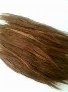 Image result for Alpaca Long Hair