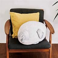 Image result for Seal Cushion