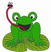 Image result for Cartoon Frog On Lily Pad