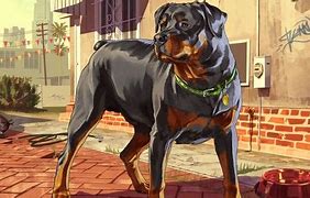 Image result for GTA 5 Dog