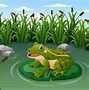 Image result for Cartoon Frog Pond