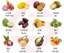 Image result for Quả Nhót Tiếng Trung