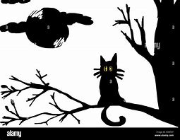 Image result for Black Cat at Night