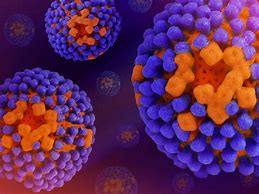 Image result for Influenzavirus A