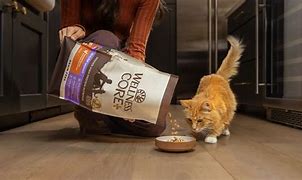 Image result for Woolworths Cat Food